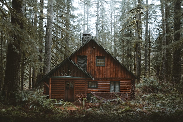 5 Reasons Why Cabin Rentals Are the Perfect Getaway